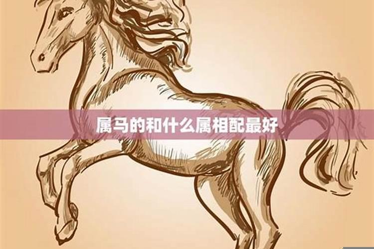 属马的跟什么比较配