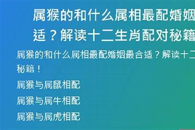 属鼠和什么属相最配