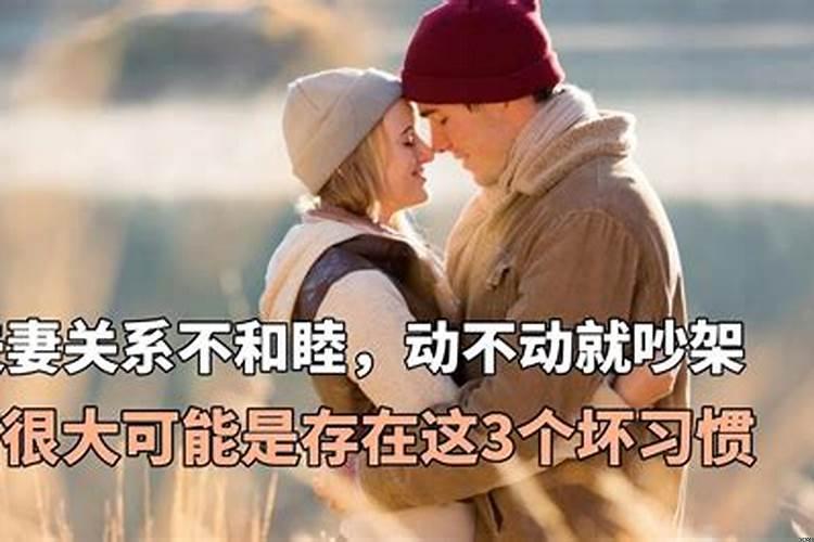 男女动不动就吵架