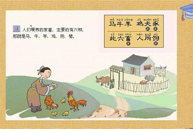 牛蛇天生一对，猪羊本是一家