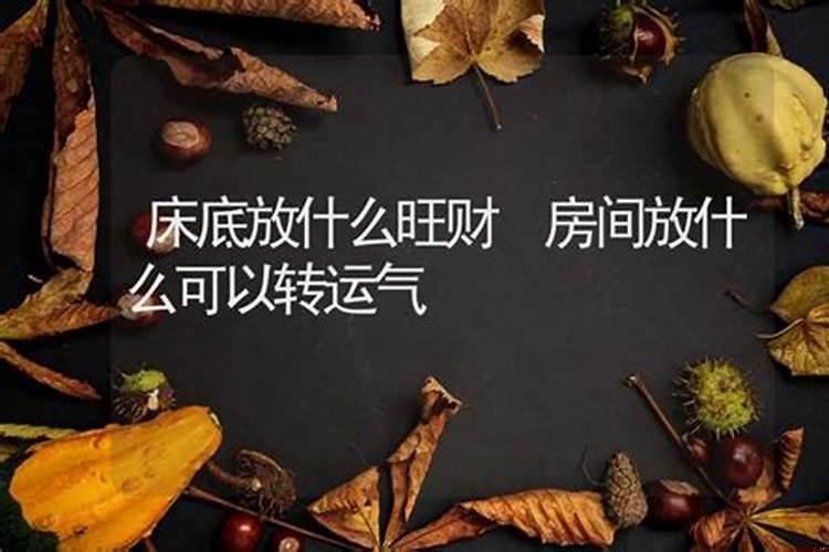 家里旺财运的风水摆设