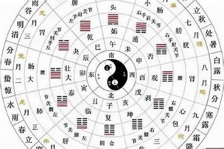八字合婚日支相合