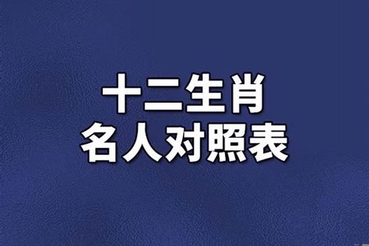 十二生肖对应的名人明星