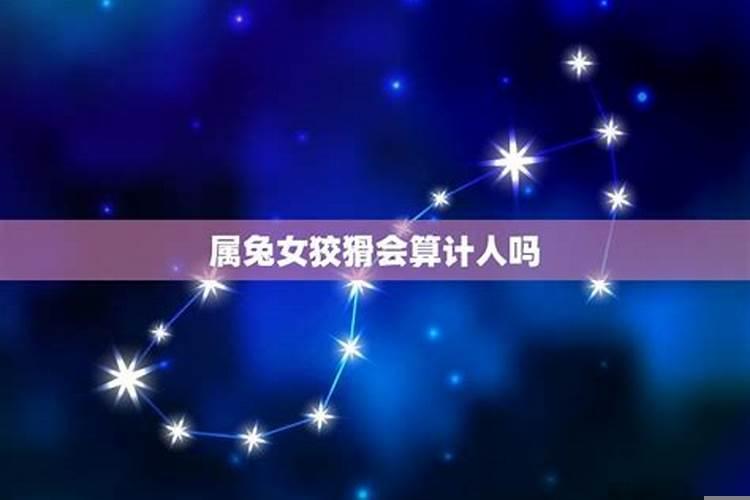 属兔女心机最重