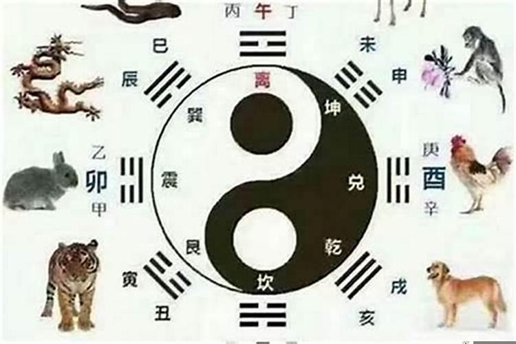 属蛇和属什么的最合适呢