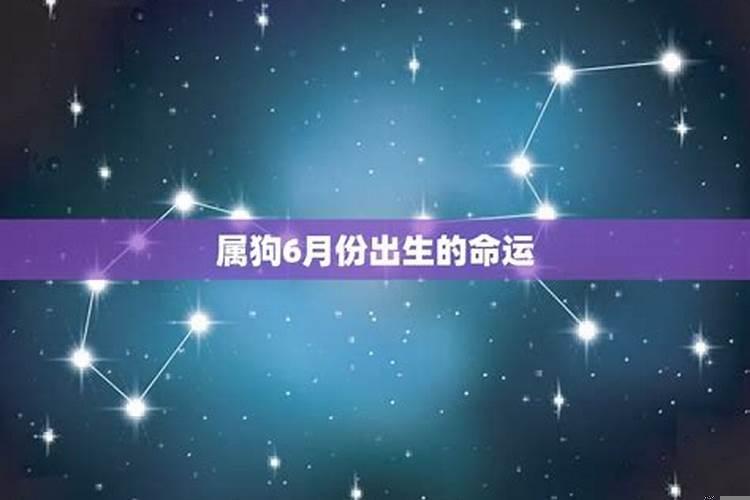 属狗出生月命运运程