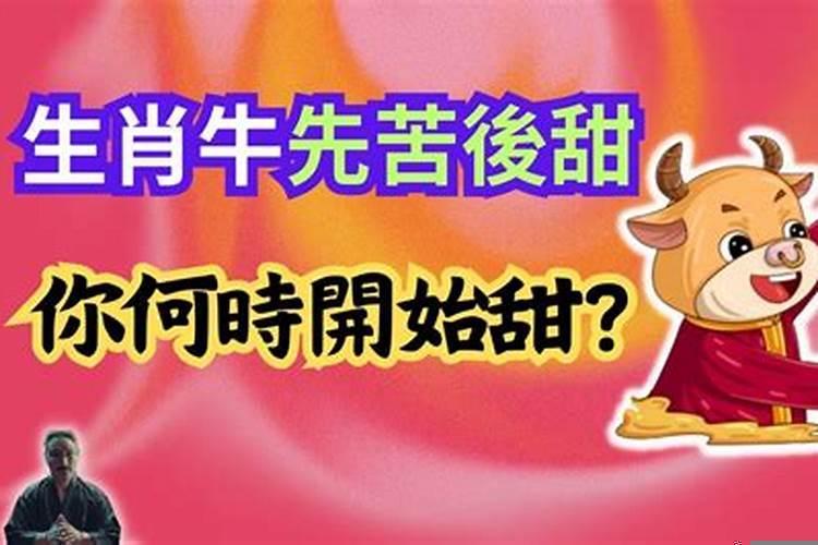 先苦后甜的六大生肖是什么