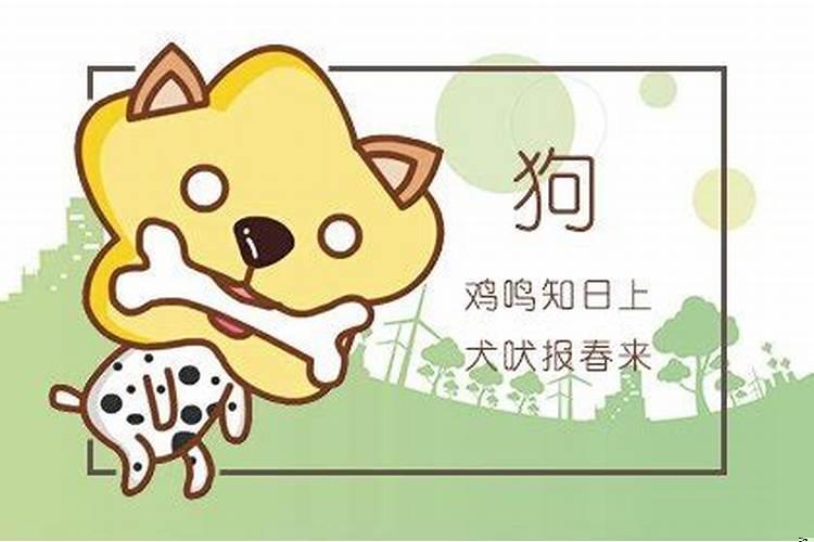 属狗2021运气不好怎么办