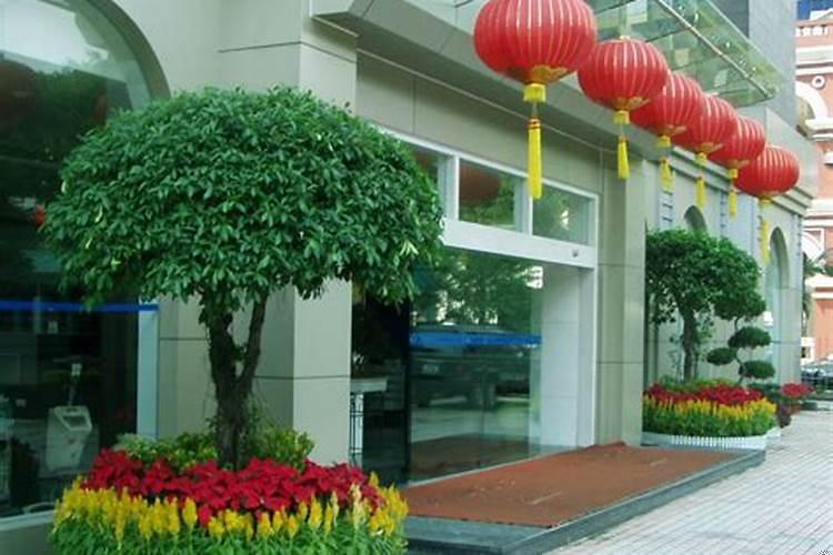 公司大门口适合放什么植物