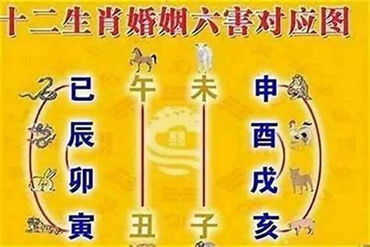 婚配属相表四大忌
