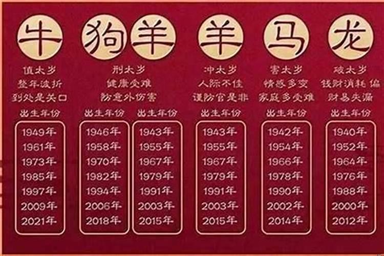今年是什么本命年2025