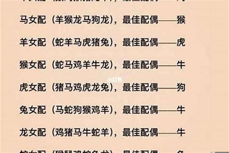 十二生肖婚姻最佳搭配马