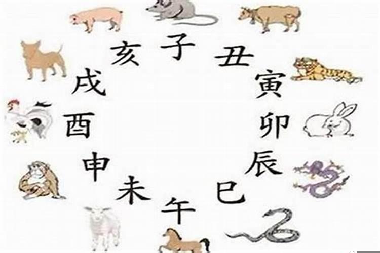 爸爸属羊妈妈属蛇