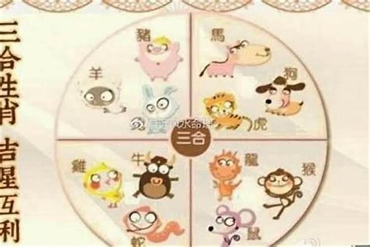 属狗的和什么属相最婚配