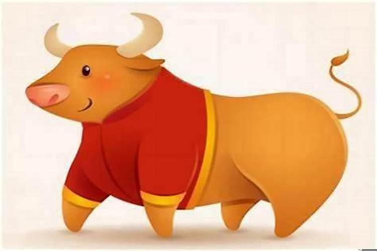 属兔的生牛宝宝好吗