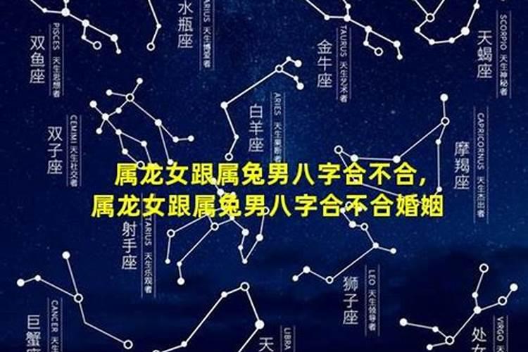 属兔和龙相合不合