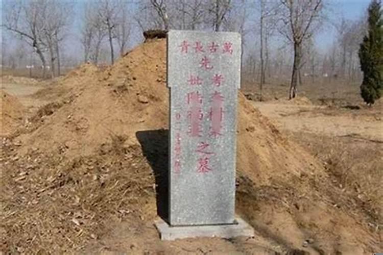 坟埋在别人地里该不该给钱