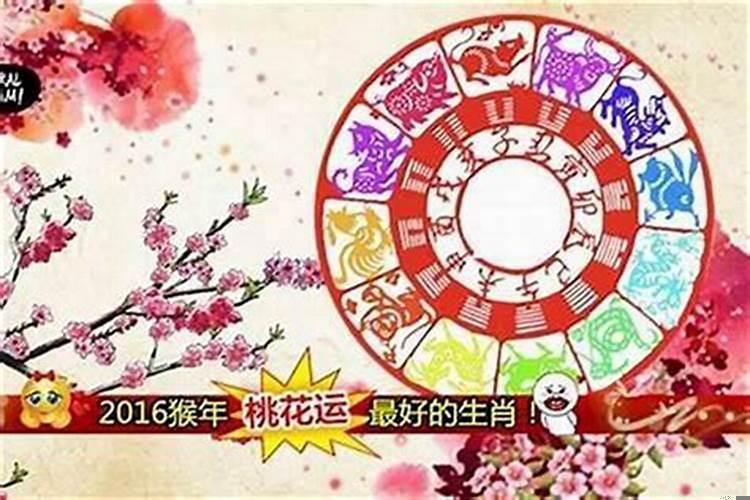 今年桃花运最好的生肖