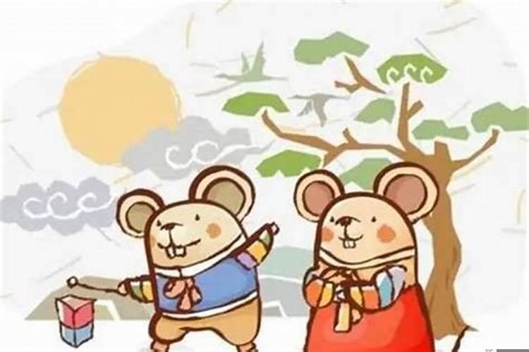 属鼠和属马的婚配吗