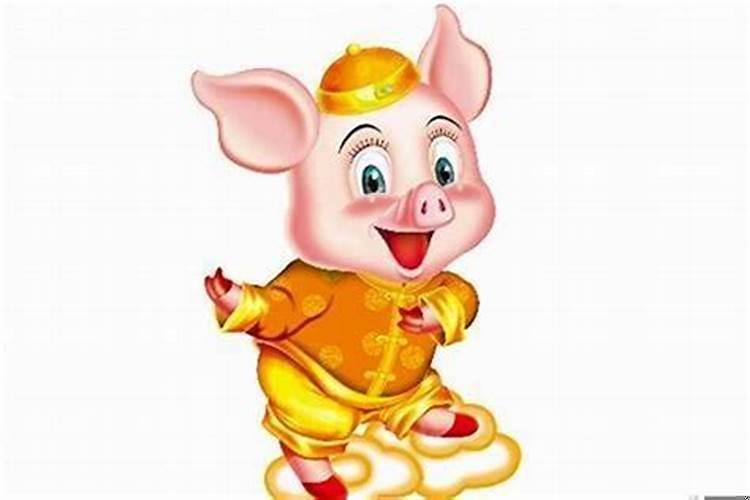 属猪穿衣服什么颜色好