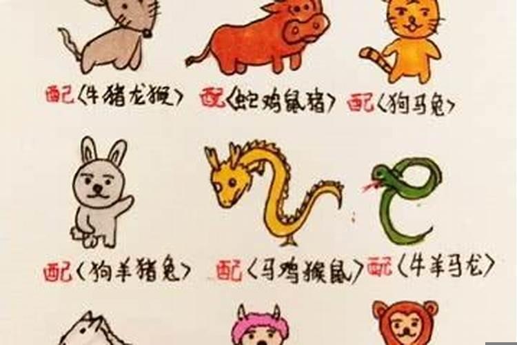 十二生肖婚姻最佳搭配马
