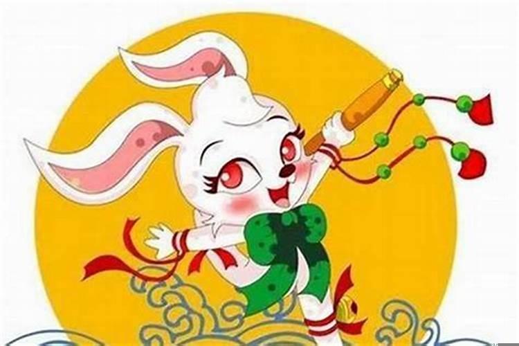 属兔的生牛宝宝好吗