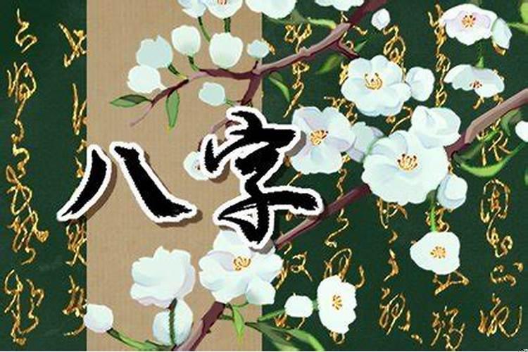八字财运怎么分析
