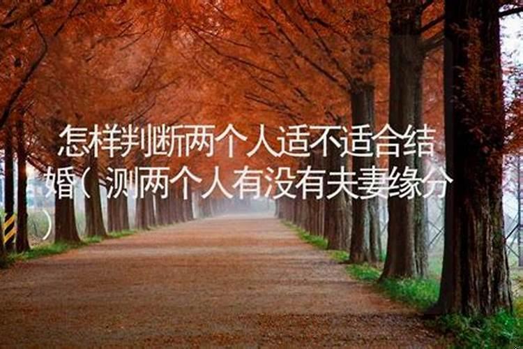 怎么看出两个人有没有缘分