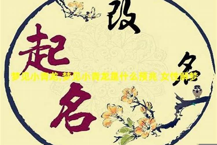 梦见青龙是什么预兆在水里