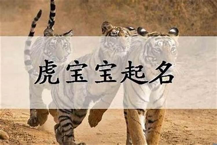 坟墓立碑注意事项