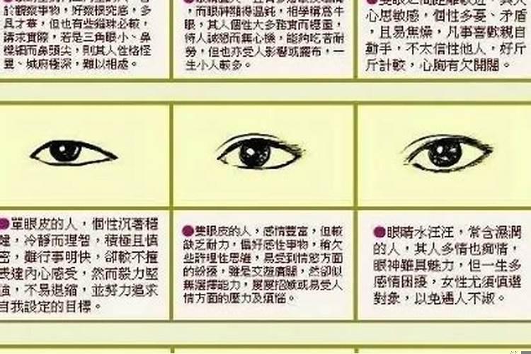 面相看财运为何这么准