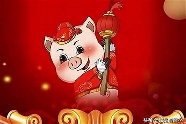 属猪人在哪年运势好
