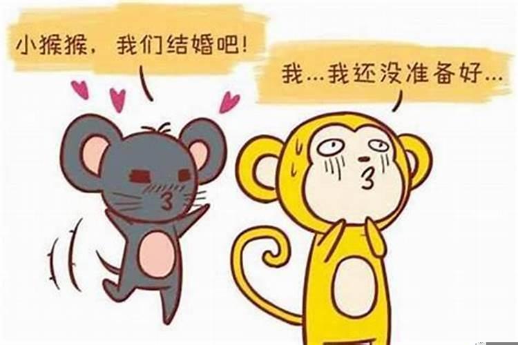 属鼠男与属猴女婚配合适吗