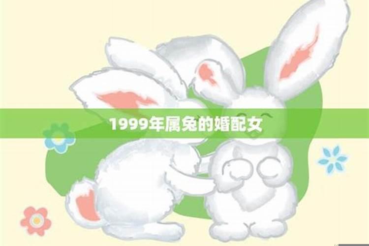 1999年的兔跟兔结婚好不好
