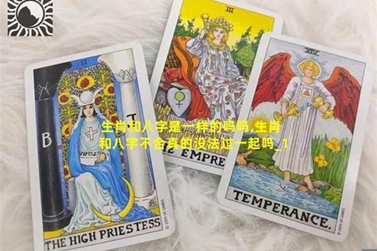 生肖和八字不合真的没法过一起吗