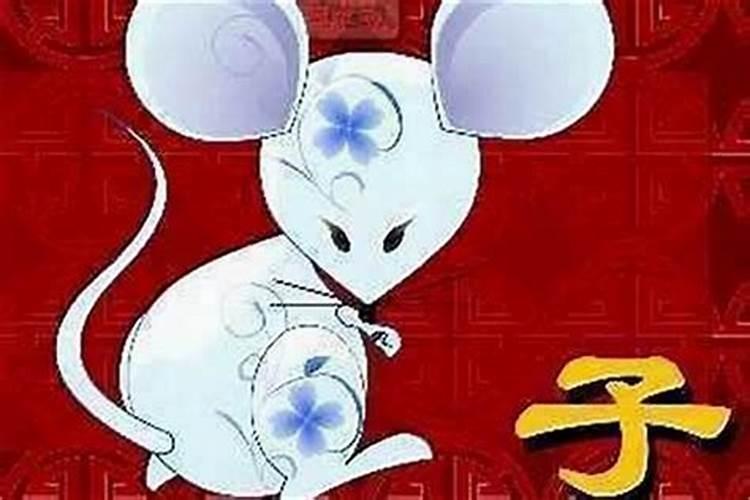 96年属鼠命运如何