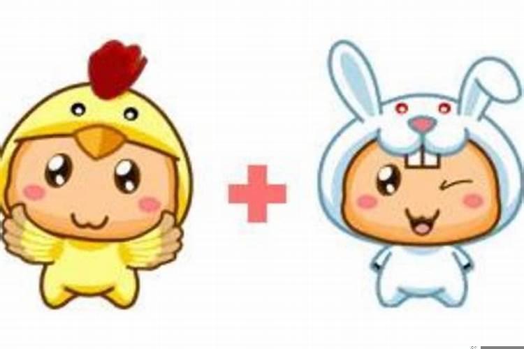 男属鸡和女属兔的合不合