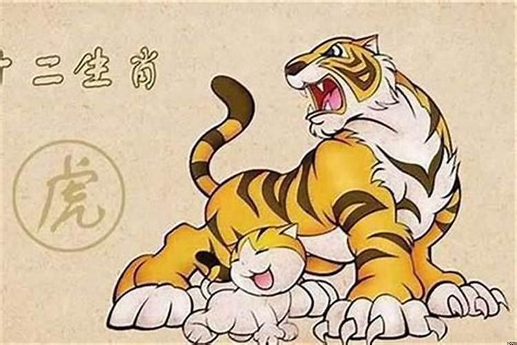 生肖虎的今年运势