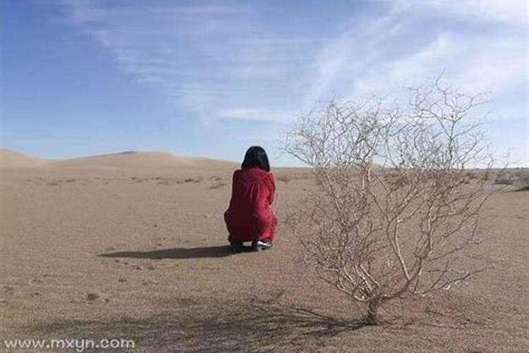 梦见外婆死了妈妈哭的很伤心
