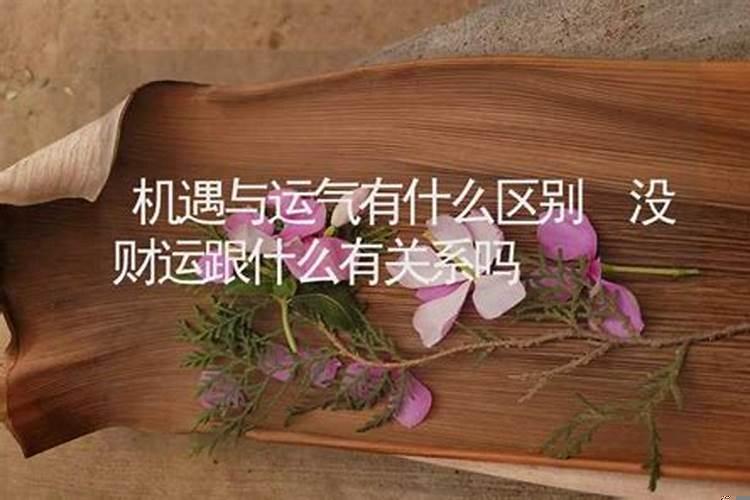 机遇和运气也很重要