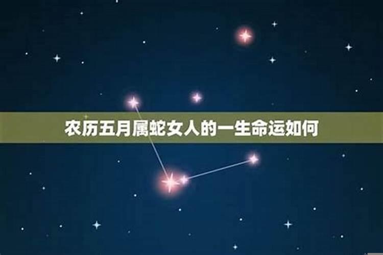 1965属蛇男喜欢的女人