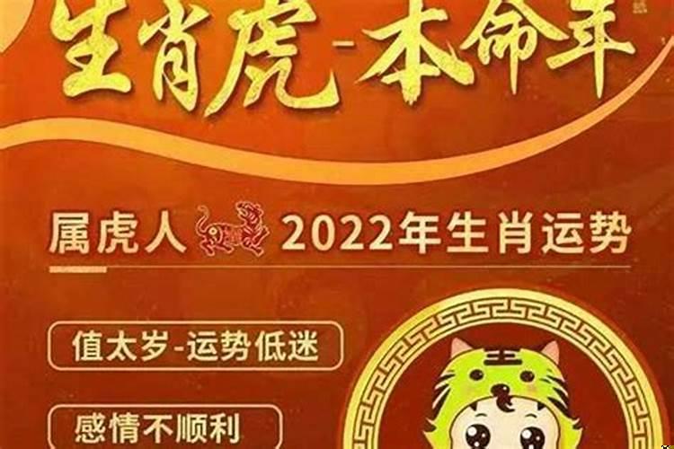 未来5年运势最好的生肖