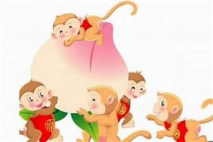 属猴生什么宝宝