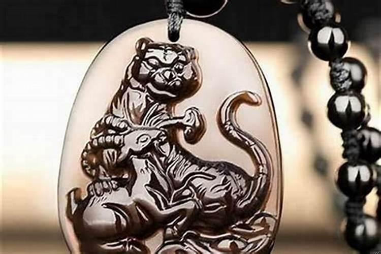 生肖猪养什么植物可以旺财