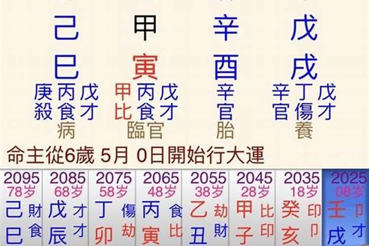 大运戊午与癸亥合