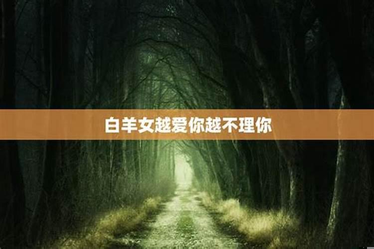 白羊座不再理你