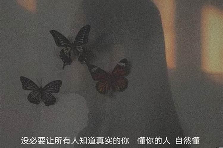 怎样才算真正的爱上一个人
