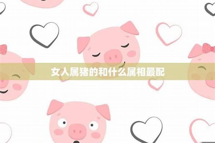 属猪女和什么属相婚配最好