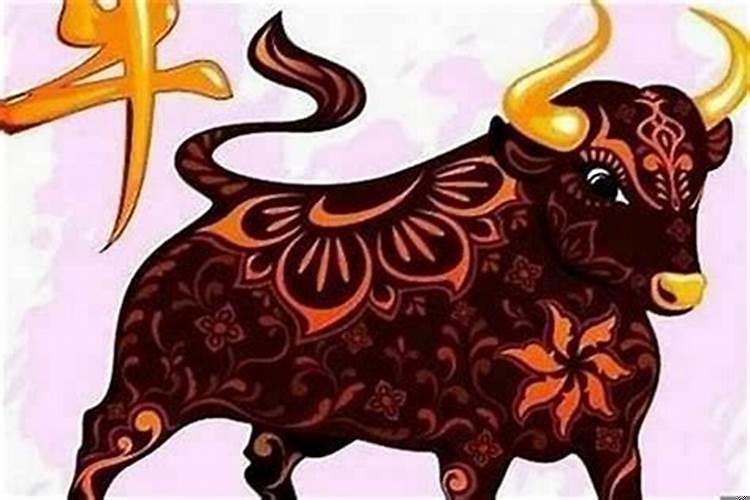 属牛女金牛座特点