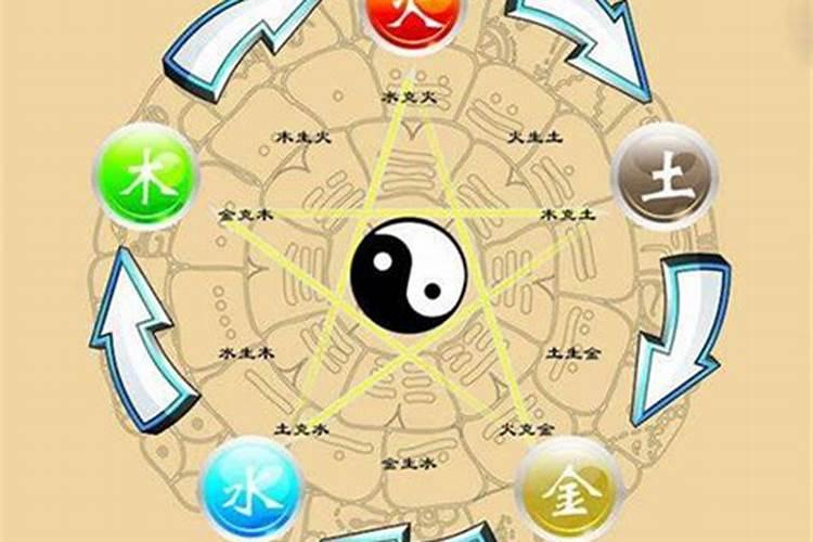 属相婚配金木水火土